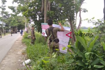 Satpol PP Metro tertibkan APK di pohon mayoritas terkait Jokowi