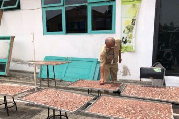 Plasma pisang Yogyakarta hasilkan berbagai makanan olahan pisang