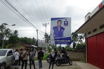 Pemasangan APK di pohon jenis pelanggaran terbanyak di Limapuluh Kota