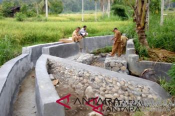 Rp12,5 miliar dialokasikan bangun irigasi pertanian di Agam