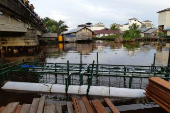 Buaya pemangsa belum tertarik umpan pancing dan perangkap