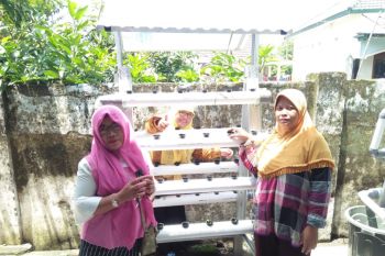 Sidoarjo Positif Kembali Latih Warga Kalidawir Hidroponik