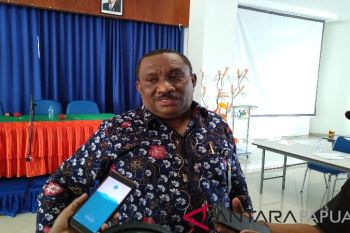 BPS perkirakan kondisi ekonomi Papua turun di triwulan I 2019