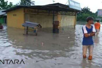Banjir rendam puluhan rumah di Kabupaten Kupang