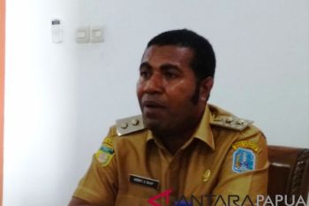 Pemkab Biak Numfor bentuk tim siaga pencegahan demam berdarah