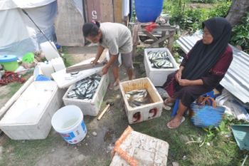 Semangat bangkit pengungsi bencana Palu