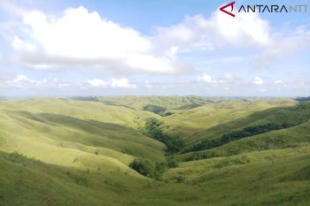 Perbukitan Wairinding jadi wisata andalan Sumba Timur