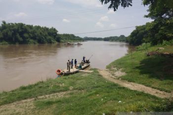 Kondisi Bengawan Solo di Hilir Jatim Aman