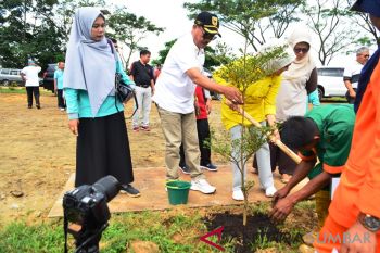 Peringati HPSN, Pemkab Tanah Datar tanam pohon