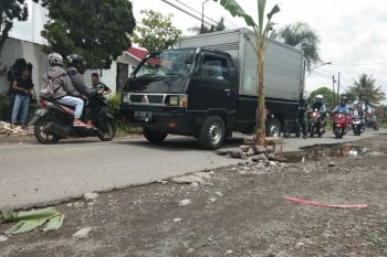 Warga Tamantirto Bantul tanami pohon pisang jalan berlubang