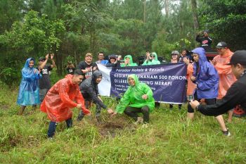 500 pohon ditanam di lereng Gunung Merapi