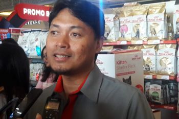 "Jogjakarta Cat Camphionship" ajang interaksi-edukasi pecinta kucing