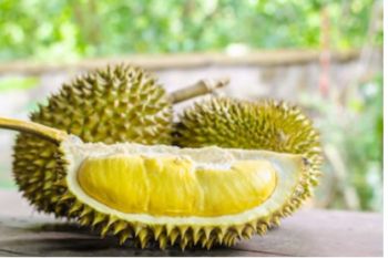 Siapa bilang durian berbahaya, simak 7 manfaatnya bagi tubuh