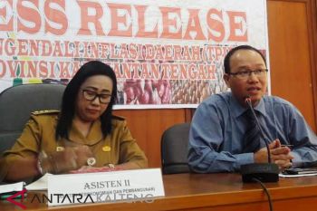 Ini tantangan TPID Kalteng dalam mengendalikan inflasi