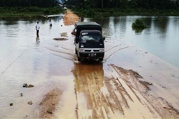 Banjir merendam jalan dan jembatan di Lamandau