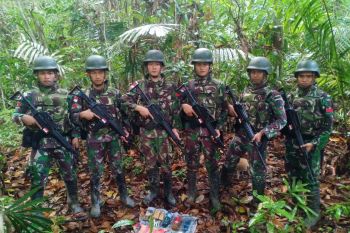 TNI amankan ganja ketika gelar patroli di perbatasan RI-PNG