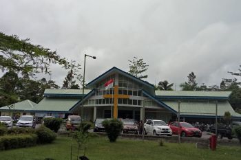 RSMM Timika jamin ketersediaan obat tangani DBD