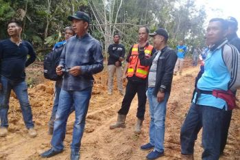 Jalan tembus Lemo - Palangka Raya ditargetkan fungsional pada Lebaran