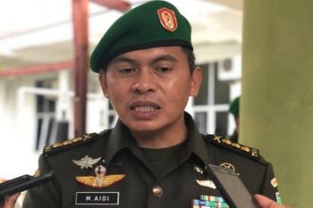 Tujuh Anggota KKB Tewas Dalam Kontak Tembak di Nduga, Papua