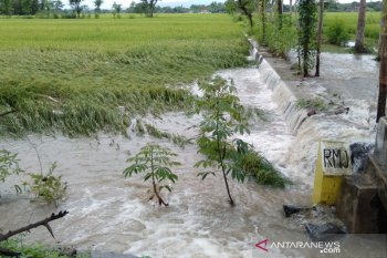 Bulog segera salurkan CBP untuk bencana banjir Klaten