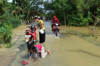 BPBD Bojonegoro laporkan tanggul kritis di Kanor