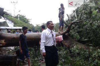 BPBD masih mendata dampak kerusakan akibat angin kencang