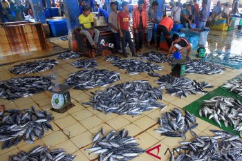 Harga Ikan Laut Anjlok