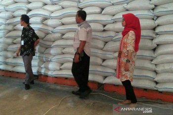 Serap beras kualitas premium, Bulog Banyumas langsung menjualnya