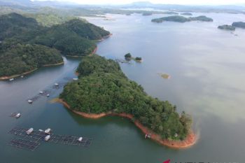 Pulau rusa destinasi wisata alam baru Kalsel