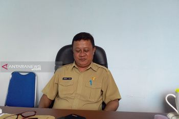 Distan Sangihe minta petani kembali tanam bibit "sagu"