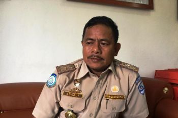 BKIPM Jayapura dorong penggunaan aplikasi PPK daring