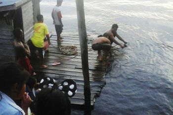 Seorang bocah tenggelam di Sungai Mentaya