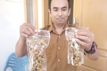 Pesisir Selatan bangun tugu Lokan di Inderapura