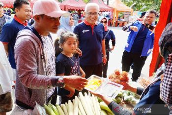 Kotim galakkan pertanian organik berharap warganya panjang umur