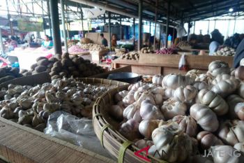 Harga bawang putih di Solo merangkak naik