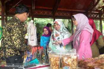 Dekranasda Solok dorong UKM gesit promosikan produk