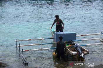 Tenaga penyuluh perikanan Biak berstatus pegawai pusat