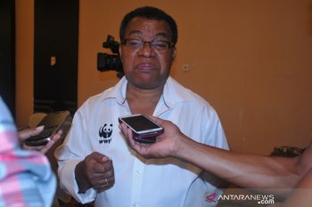 WWF Papua klaim perubahan penggunaan lahan sebabkan emisi