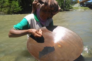 Mendulang emas menjadi sumber ekonomi warga Sikundo, Aceh Barat
