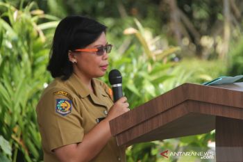 Mimika perluas area tanaman perkebunan