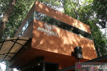Sensasi ngopi di hutan megapolitan