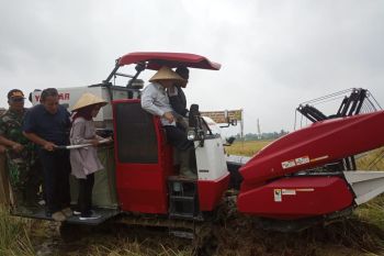 Bupati OKU Timur panen raya demplot padi bebas residu