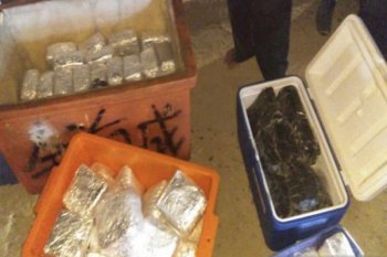 East Aceh authorities redouble efforts to curb growing drug problem