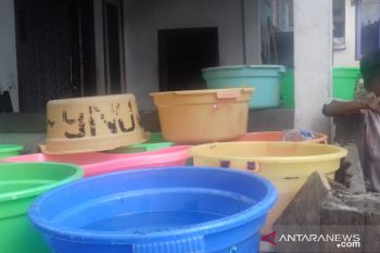 Warga Pulau Maringkik masih panen air hujan