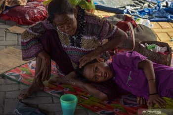Walhi: Informasi HGU seharusnya mudah diakses publik