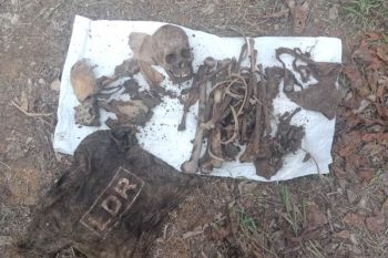 Kerangka manusia di lahan sawit Agam telah diambil keluarga