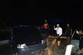 Korban meninggal banjir di Kota/Kabupaten Jayapura capai 50 orang