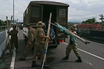 Bawaslu Sleman turunkan ratusan bendera parpol langgar aturan