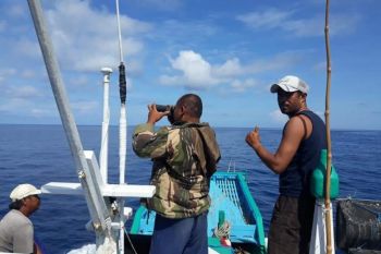 Nelayan Kupang beralih ke perairan Flores akibat kesulitan umpan