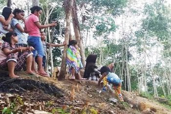 Masih 15 desa di Kotim belum terjangkau jaringan seluler